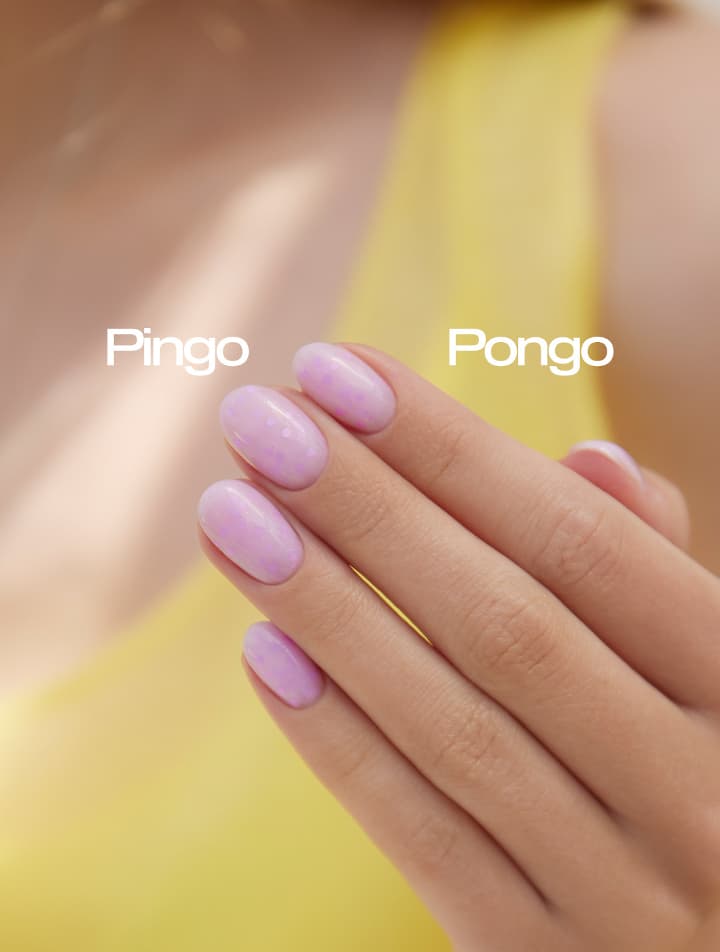 candy base pingo